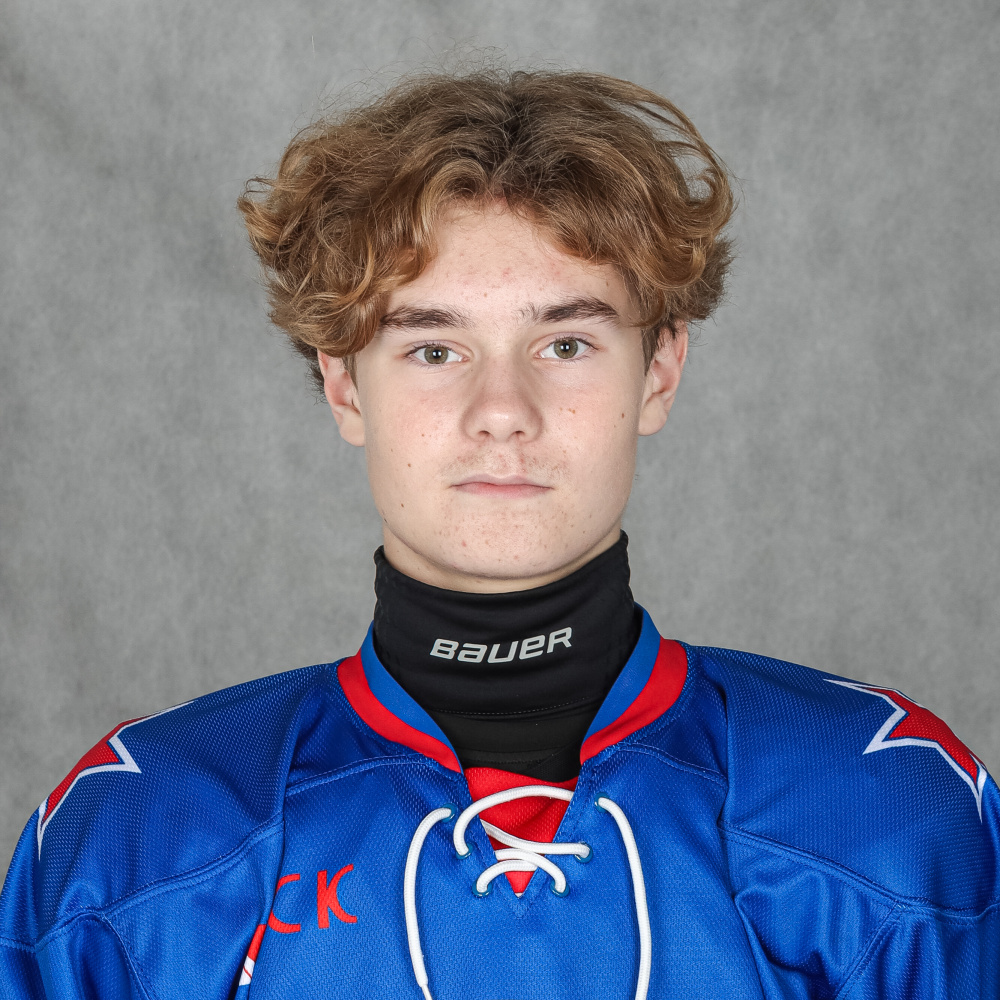 Голубев Владимир