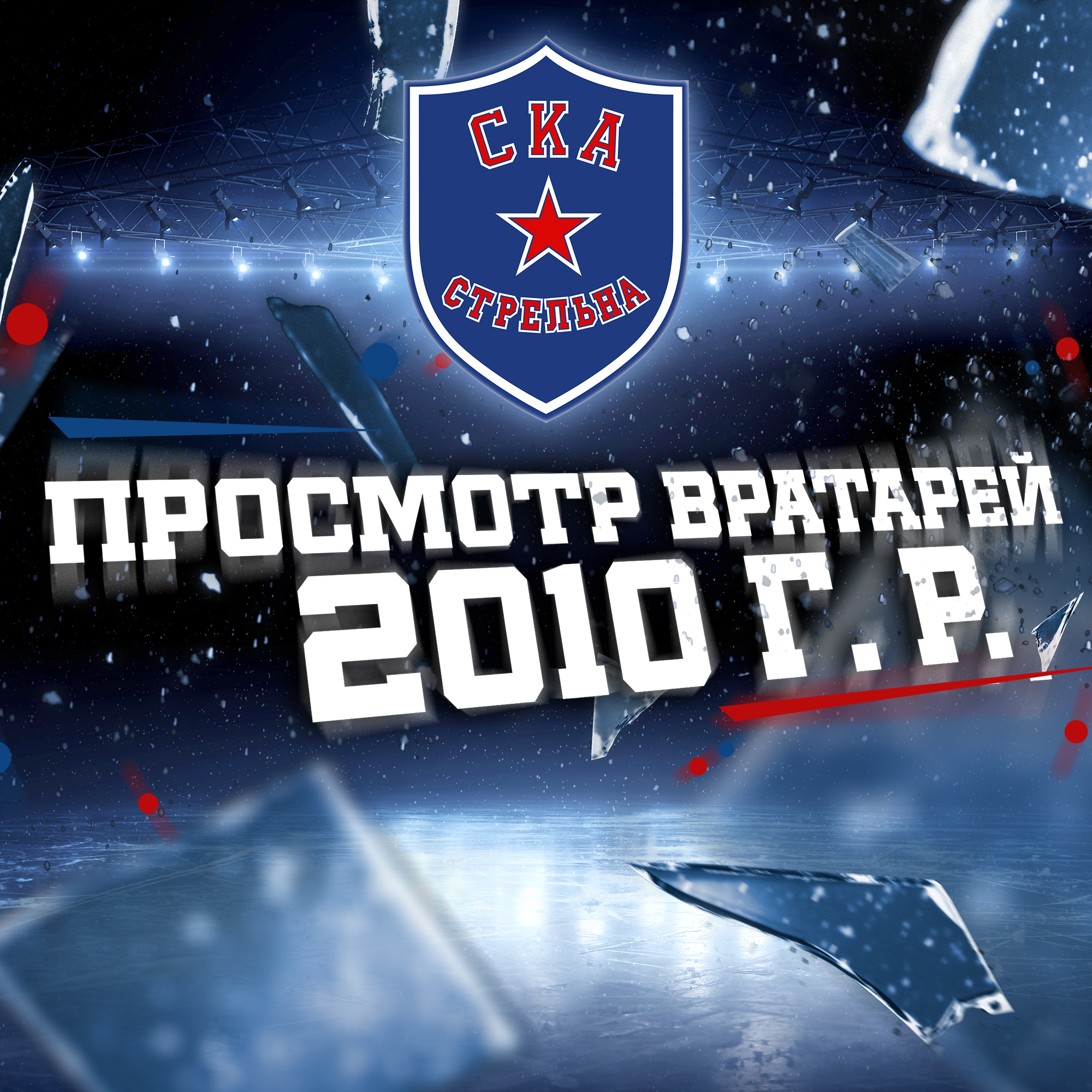 Просмотр вратарей в команду «СКА-Стрельна 2010»